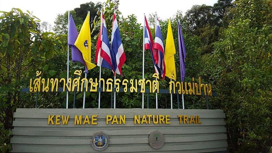 Chiang Mai:Doi Inthanon National Park & Hike at Kew Mae Pan - Wachirathan Waterfall: the final wow, but manage expectations
