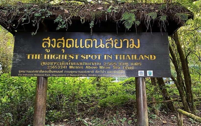 Chiang Mai: Doi Inthanon National Park Sightseeing Only - Ang Ka Luang Nature Trail: short rainforest walking, not a grind