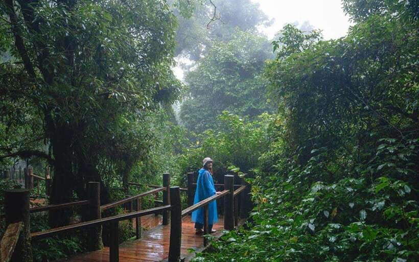 Chiang Mai: Doi Inthanon National Park Sightseeing Only - Waterfalls: Sirithan and Wachirathan for maximum payoff