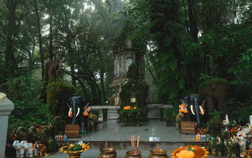 Chiang Mai: Doi Inthanon National Park Sightseeing Only - Thai Hmong Community Market and coffee tasting breaks
