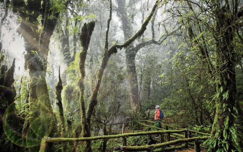 Chiang Mai: Doi Inthanon National Park Sightseeing Only - Meet your team: guide, driver, and the small-group feel