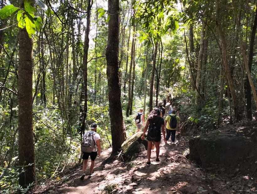 Chiang Mai: Doi Inthanon National Park+Trek Pha Dok Siew - Lunch in the Park: Timing That Helps the Trek