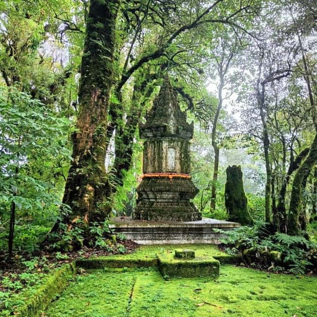 Chiang Mai: Doi Inthanon National Park+Trek Pha Dok Siew - King and Queen Pagodas: Why These Stop-Points Feel Worth It