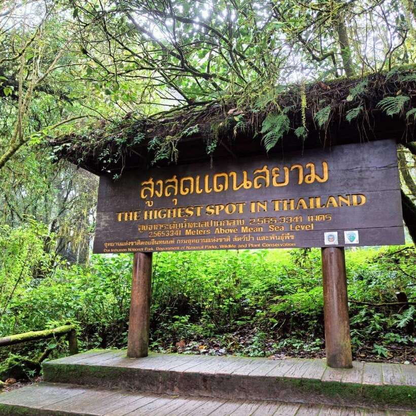 Chiang Mai: Doi Inthanon National Park & Waterfall Day Tour - Lunch, Karen coffee, and pacing the food stops so you stay fresh