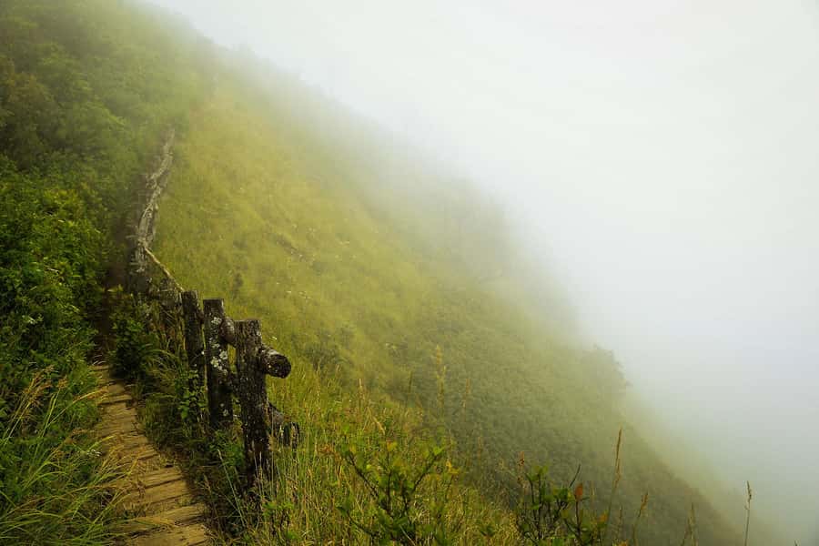 Chiang Mai: Doi Inthanon National Park, Waterfall & Lunch - Key things that make this tour work