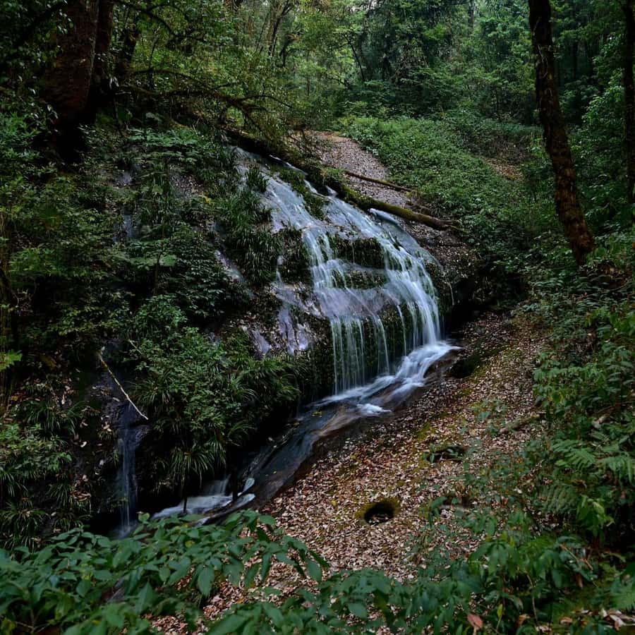 Chiang Mai: Doi Inthanon National Park, Waterfall & Lunch - What the guides do best: timing, space, and photo help