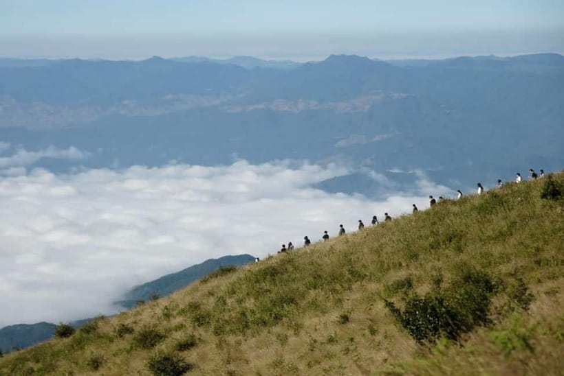 Chiang Mai: Doi Inthanon Park and Kew Mae Pan 2-Hour Hike - A One-Day Upcountry Escape From Chiang Mai