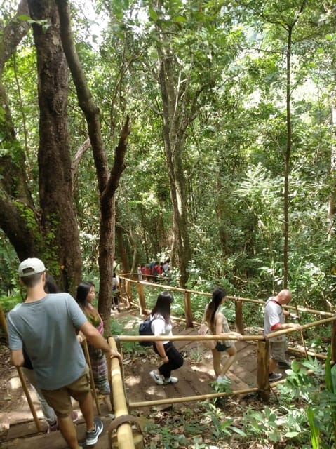 Chiang Mai: Doi Inthanon Park and Pha Dok Siew Hike Day Trip - Wachirathan Waterfall: great views, and swimming depends on the month