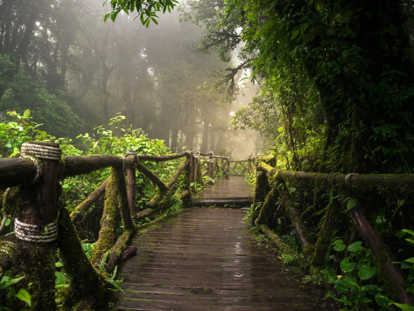 Chiang Mai: Doi Inthanon Park and Pha Dok Siew Trail Trek - Timing, Transport, and Group Size: Why This Feels Managed