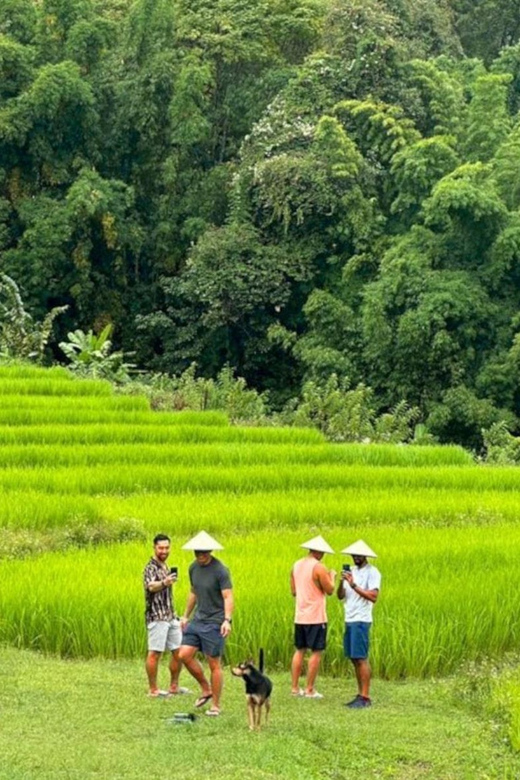 Chiang Mai: Doi Inthanon Park and Pha Dok Siew Trail Trek - Morning Pickup: The Easy Part of a Hard-Working Day