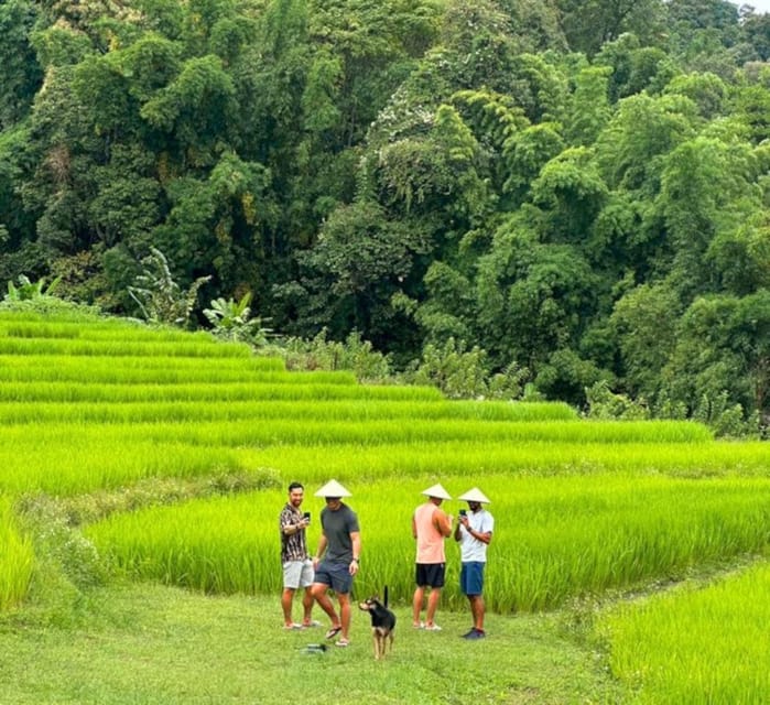 Chiang Mai: Doi Inthanon Park and Pha Dok Siew Trail Trek - Karen Hill Terraces and Traditional Farming: Culture You Can See Up Close