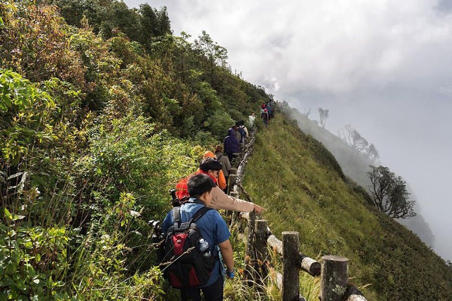 Chiang Mai: Doi Inthanon Park Day Trip with Kiw Mae Pan Hike - Price and value: why 61 USD can make sense for a full day