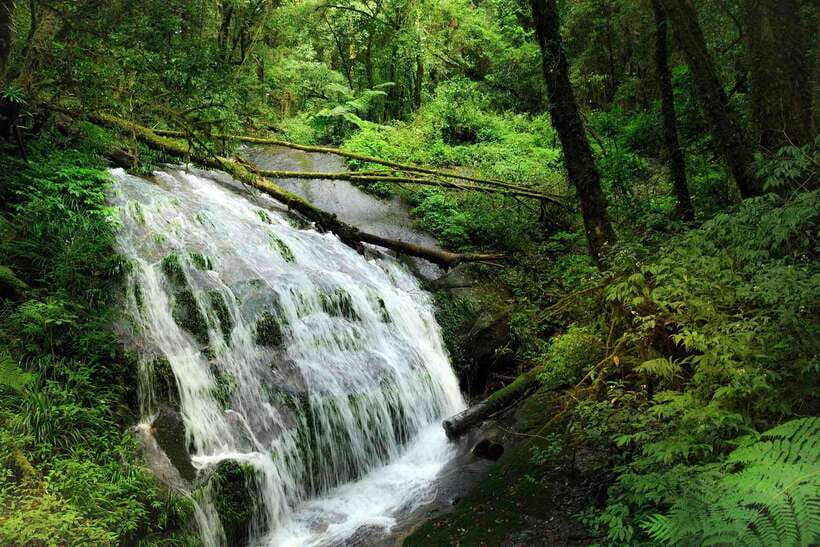 Chiang Mai: Doi Inthanon Park Tour & Kew Mae Pan Trail Hike - Lunch, Water, and the Pace of a Small Group Day
