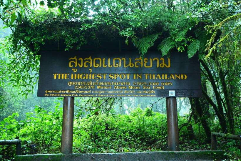 Chiang Mai: Doi Inthanon Park Tour & Kew Mae Pan Trail Hike - The King and Queen Pagodas: Stunning Views, Real Dress Rules