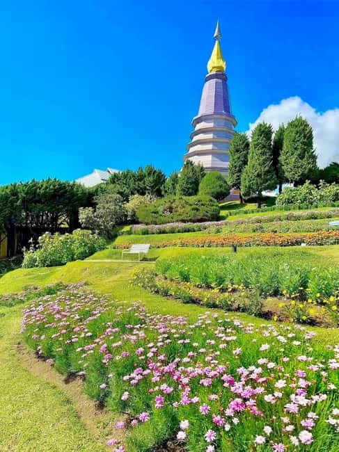 Chiang Mai Doi Inthanon Park Waterfall Pure Sightseeing Tour - Doi Inthanon Summit Area, About 2,565 m Up