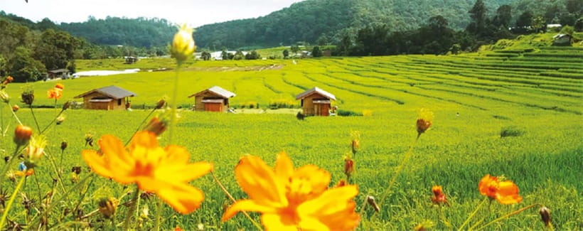 Chiang Mai: Doi Inthanon Trip with Pha Dok Siew Guided Trek - What to pack and what to wear for comfort