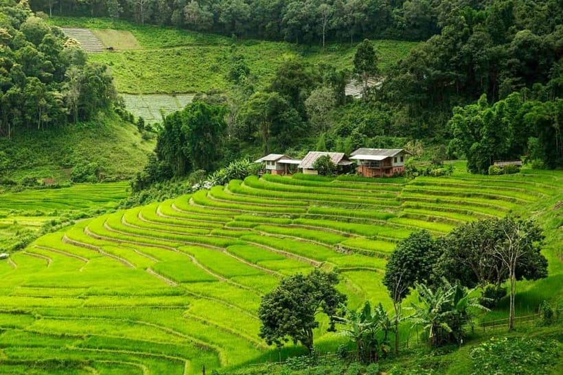 Chiang Mai: Doi Inthanon Trip with Pha Dok Siew Guided Trek - Starting from Chiang Mai, then straight into mountain weather