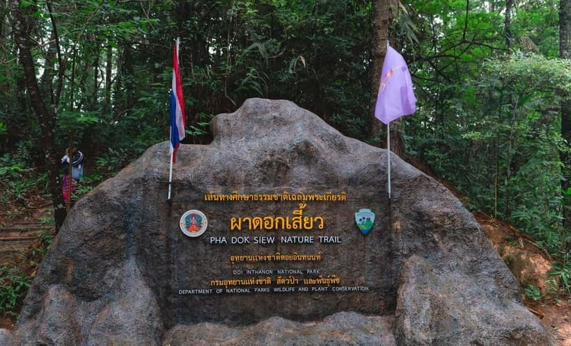Chiang Mai: Doi Inthanon Trip with Pha Dok Siew Guided Trek - Wachirathan Waterfall: beautiful photos, no swimming