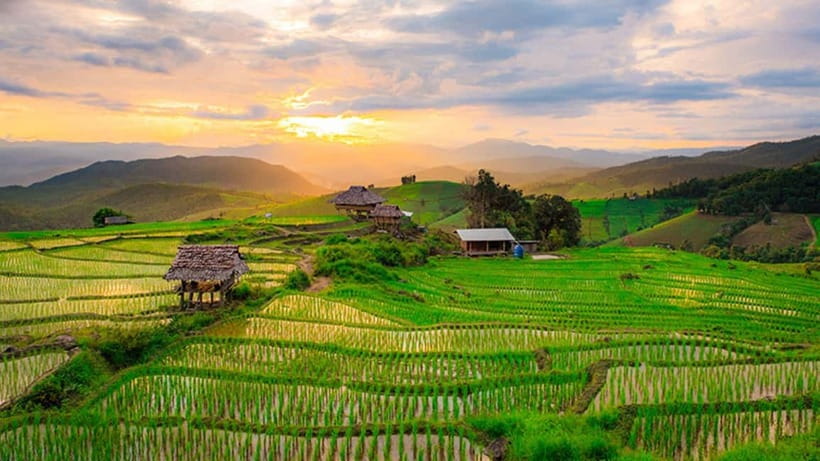 Chiang Mai: Doi Inthanon Trip with Pha Dok Siew Guided Trek - Highest Point of Thailand: Doi Inthanon summit, forest vibes included