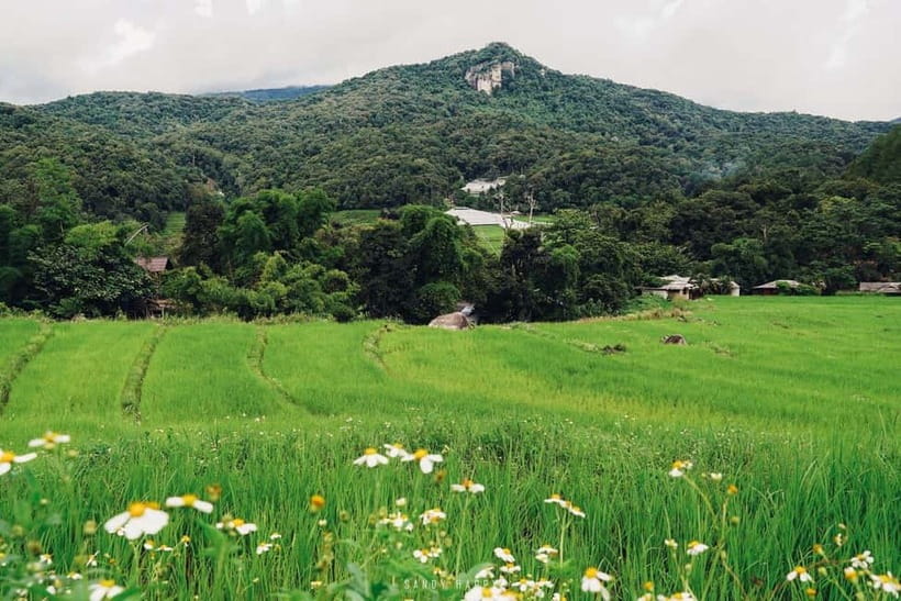 Chiang Mai: Doi Inthanon Trip with Pha Dok Siew Guided Trek - How the pacing feels: packed but not chaotic