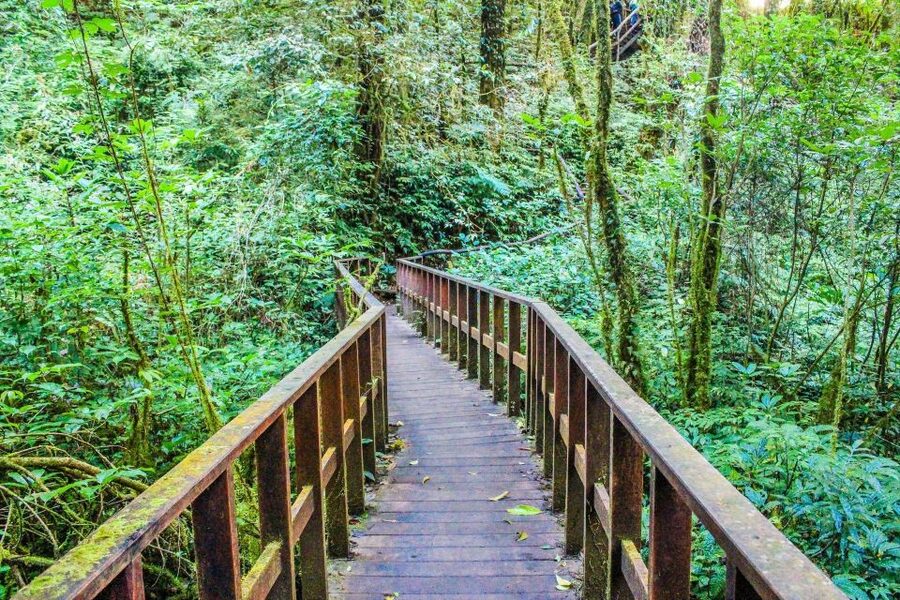 Chiang Mai: Doi Inthanon, Waterfalls, & Tribal Villages Tour - Price and Value, Plus the Fees You Must Budget