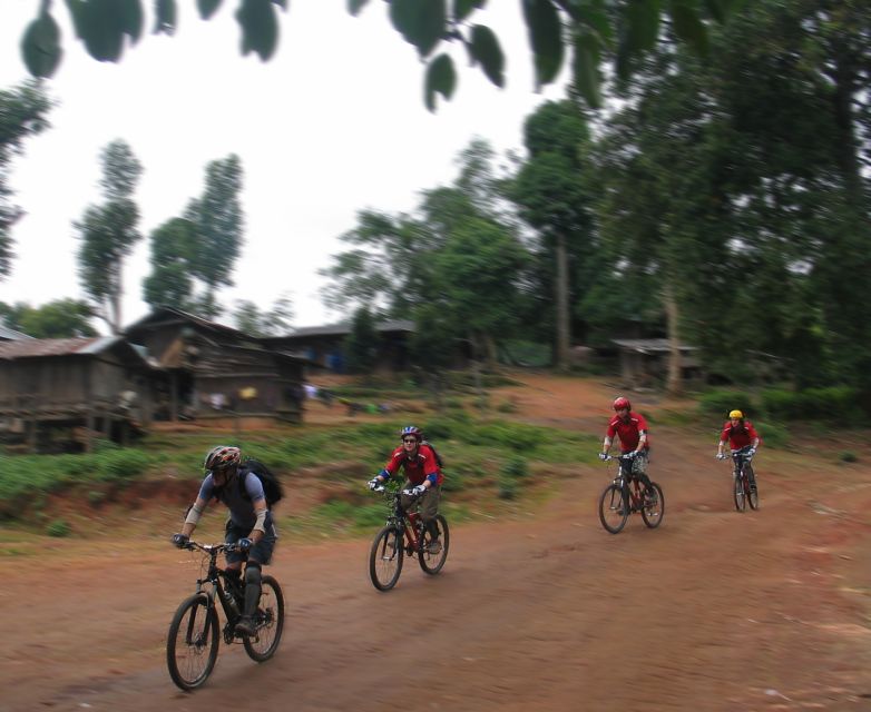 Chiang Mai: Doi Suthep National Park Leisure Hiking & Biking - What’s Included, What Costs Extra, and Why the Price Still Makes Sense