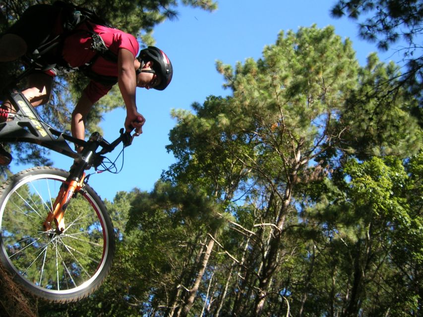 Chiang Mai: Doi Suthep National Park Leisure Hiking & Biking - Wat Phra That Doi Suthep: Holy Grounds Plus Big Views