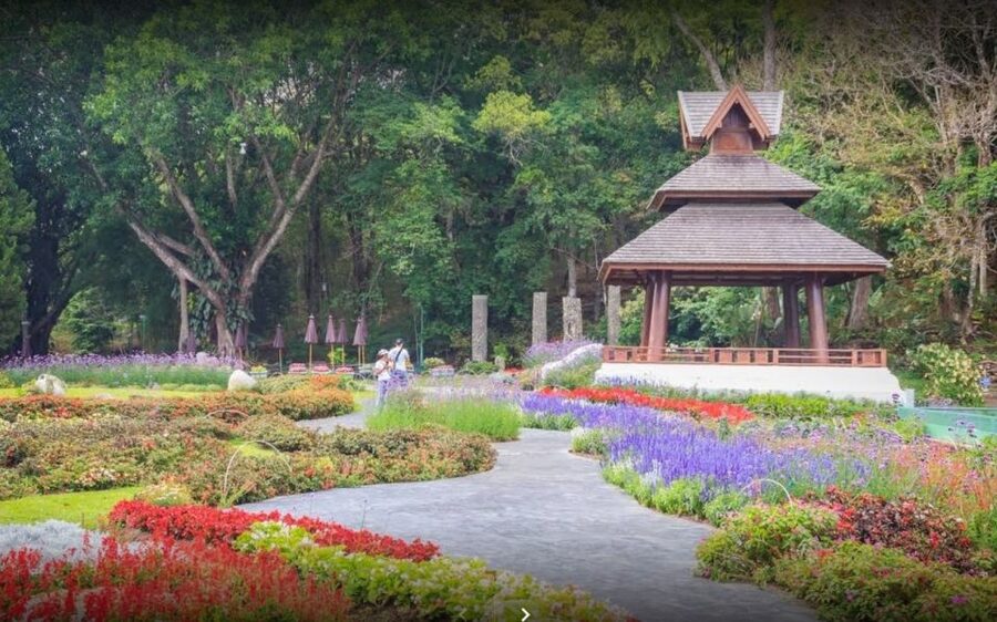Chiang Mai: Doi Suthep National Park Leisure Hiking & Biking - The Bike Descent Reality Check: Fun, Scenic, and Sometimes Main-Road Busy