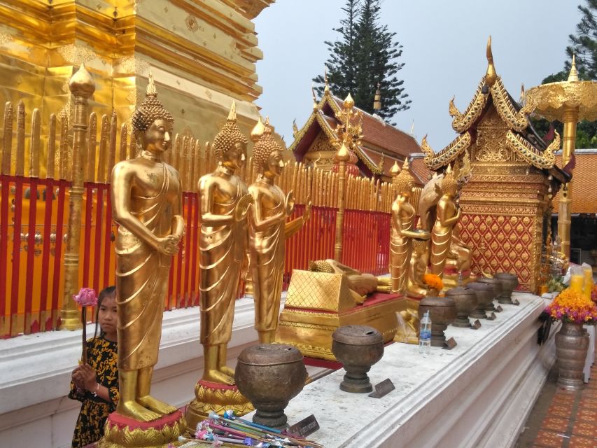 Chiang Mai: Doi Suthep National Park Leisure Hiking & Biking - Guides, Group Size, and the Human Touch That Makes It Worth $60