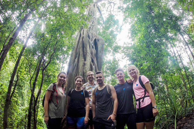 Chiang Mai: Doi Suthep Summit Trek – 7 Hour Pure Hiking Adventure - Key Points Worth Knowing Before You Hike