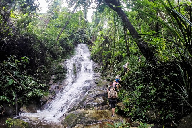 Chiang Mai: Doi Suthep Summit Trek – 7 Hour Pure Hiking Adventure - Why This Doi Pui Summit Trek Feels Like a Real Day Outside Chiang Mai