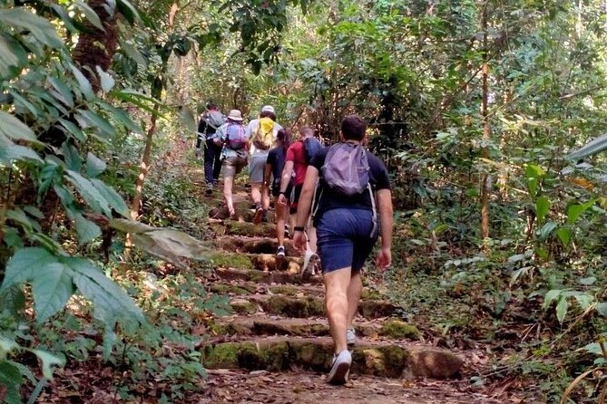 Chiang Mai: Doi Suthep Summit Trek – 7 Hour Pure Hiking Adventure - Lunch With a Hill Tribe Guide: Food Break With Meaning