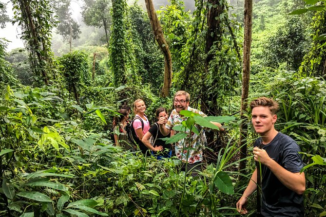 Chiang Mai: Doi Suthep Summit Trek – 7 Hour Pure Hiking Adventure - Safety and Guide Quality: What You Can Rely On