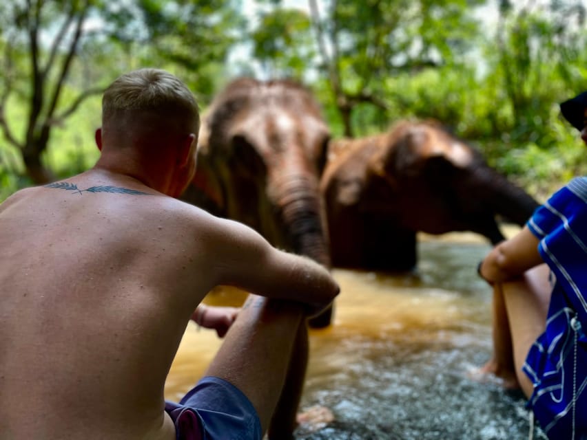 Chiang Mai: Elephant Dream Project Sanctuary - Half-Day - Key things that make this elephant sanctuary half-day special
