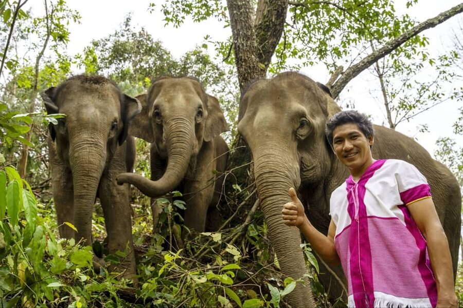 Chiang Mai: Elephant Dream Project Sanctuary - Half-Day - The jungle walk: natural habitat time plus slippery-trail reality