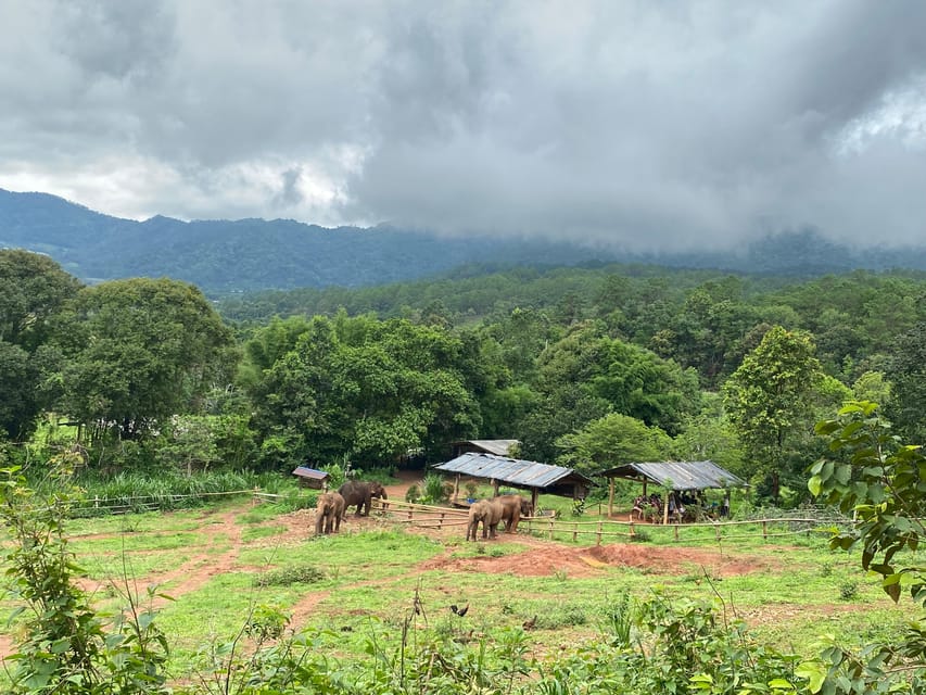 Chiang Mai: Elephant Dream Project Sanctuary - Half-Day - From Chiang Mai pickup to jungle country: the ride matters