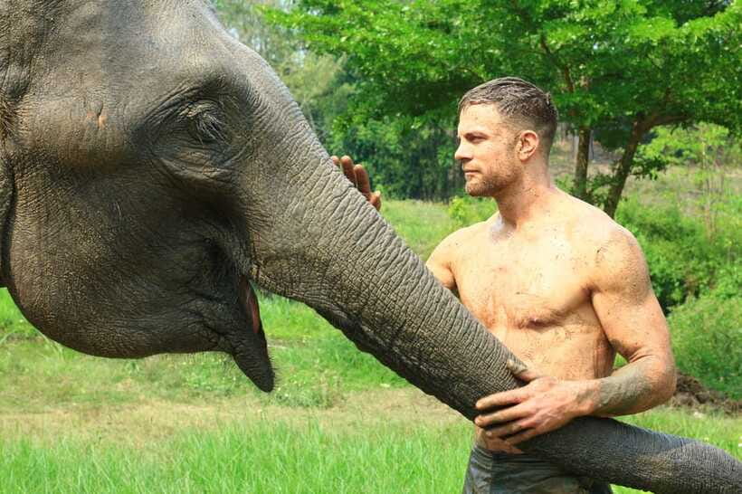 Chiang Mai: Elephant Feeding Experience - Getting there: meeting point and the taxi option if you lack a vehicle