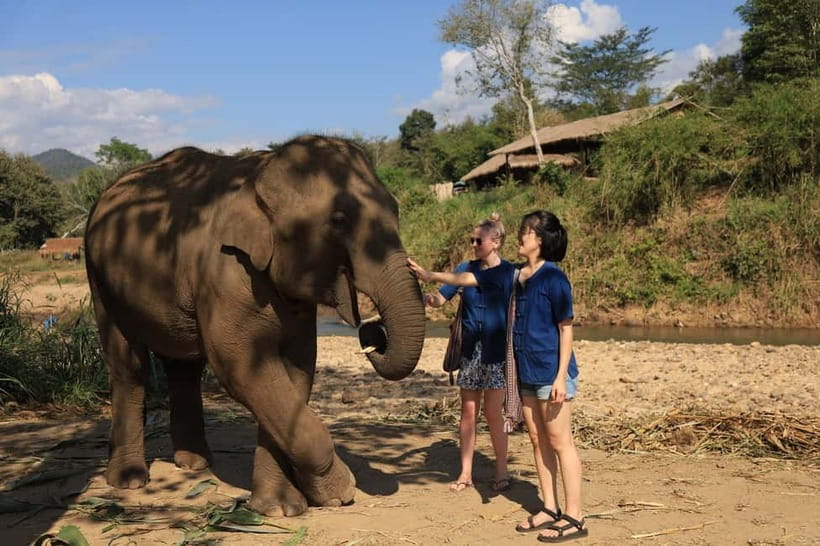 Chiang Mai: Elephant Sanctuary Bamboo Raft & Padthai Cooking - Bamboo Rafting on the Wang River: Row, Splash, Repeat