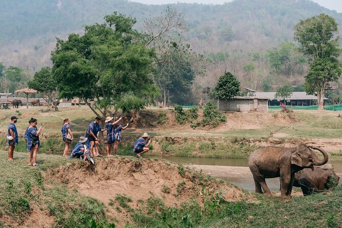 Chiang Mai Elephant Sanctuary, Bamboo Rafting and Waterfall Tour - What you should bring (and what can ruin your day)