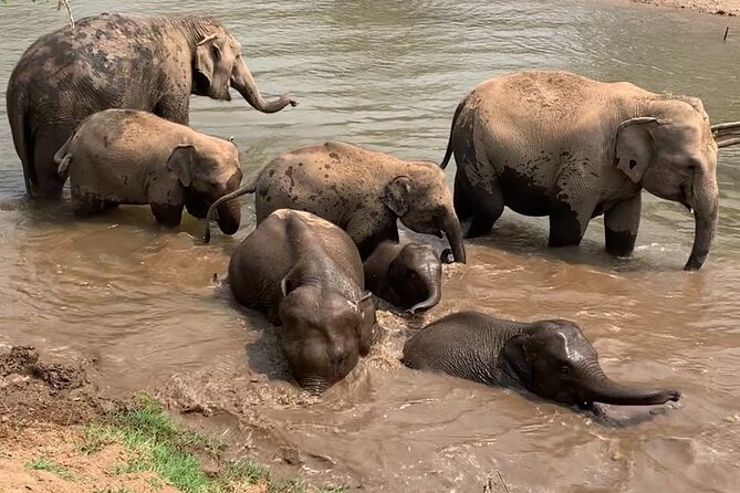 Chiang Mai Elephant Sanctuary, Bamboo Rafting and Waterfall Tour - Who this tour fits best in Chiang Mai