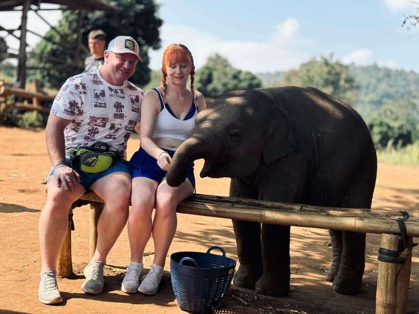 Chiang Mai: Elephant Sanctuary Feeding Program Half-Day Tour - Key highlights you should know first