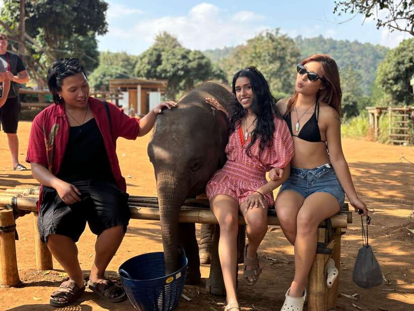 Chiang Mai: Elephant Sanctuary Feeding Program Half-Day Tour - Chiang Mai Elephant Sanctuary Feeding, the ethical way