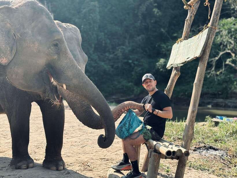 Chiang Mai: Elephant Sanctuary Feeding Program Half-Day Tour - Feeding time: Napier grass, sugarcane, bananas, and herbal treats