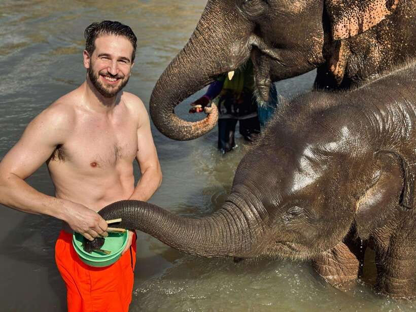 Chiang Mai: Elephant Sanctuary Feeding Program Half-Day Tour - Close-up encounters: photos, touching rules, and learning the herd as individuals