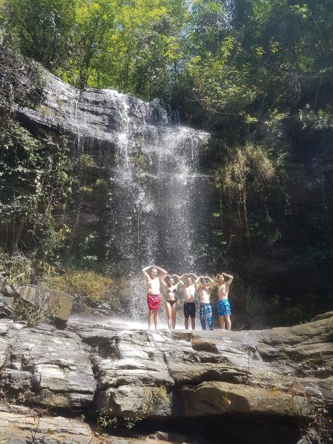 Chiang Mai: Elephant Sanctuary & Jungle Trek w/ Waterfall - Key things I think you will care about