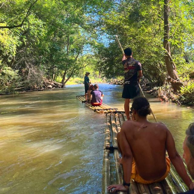 Chiang Mai: Elephant Sanctuary & Jungle Trek w/ Waterfall - Who This Tour Suits Best, and Who Should Skip It
