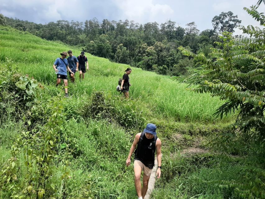 Chiang Mai: Elephant Sanctuary & Jungle Trek w/ Waterfall - The Elephant Sanctuary Visit: Rescued Elephants, Feeding and Bathing