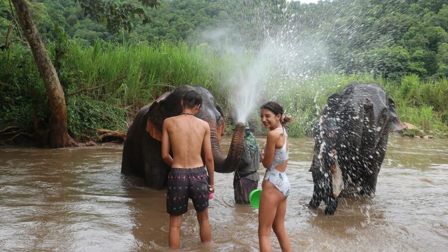 Chiang Mai: Elephant Sanctuary & Jungle Trek w/ Waterfall - The Jungle Trek to Mae Wang Waterfall