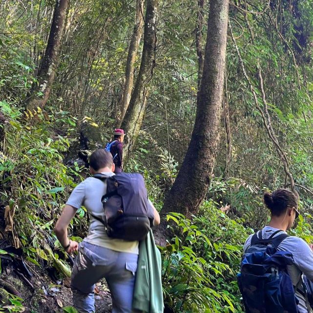 Chiang Mai: Elephant Sanctuary & Jungle Trek w/ Waterfall - Shan Village Lunch: Simple, Traditional, and Local