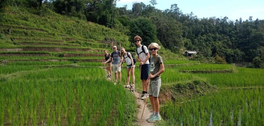 Chiang Mai: Elephant Sanctuary & Jungle Trek w/ Waterfall - Wildlife Viewing Hour: Your Nature Buffer